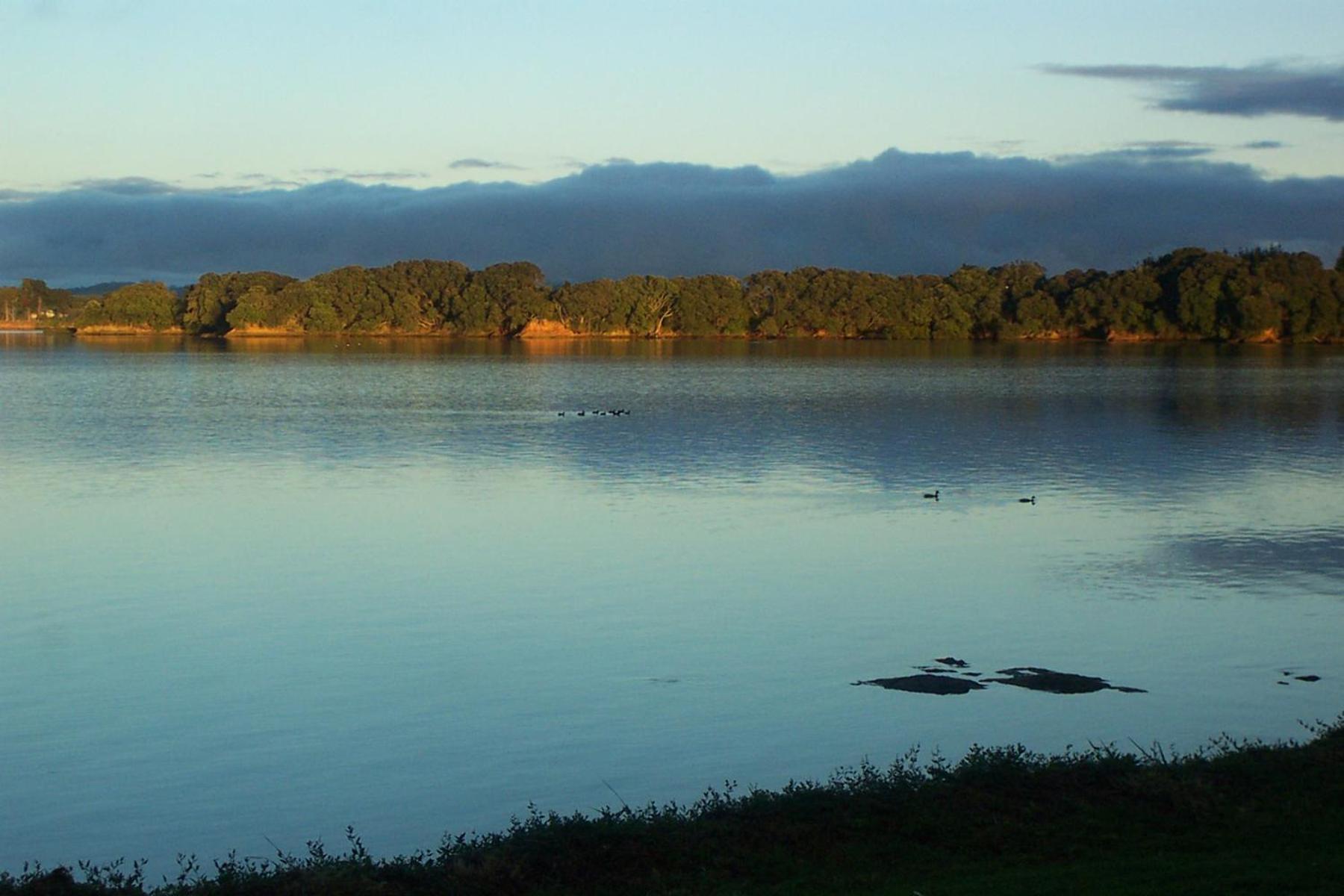 Absolute Waterfront Serenity Near Auckland Clarks Beach Bagian luar foto