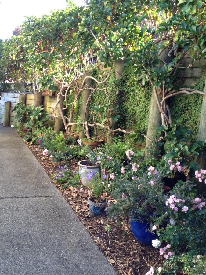 Absolute Waterfront Serenity Near Auckland Clarks Beach Bagian luar foto